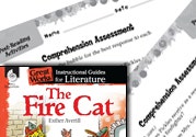 The Fire Cat Comprehension Assessment Ebook