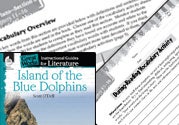 Island of the Blue Dolphins Vocabulary Activities Ebook