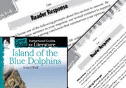 Island of the Blue Dolphins Reader Response Writing Prompts