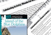 Island of the Blue Dolphins Post-Reading Activities Ebook