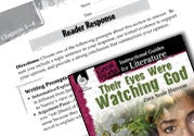 Their Eyes Were Watching God Reader Response Writing Prompts