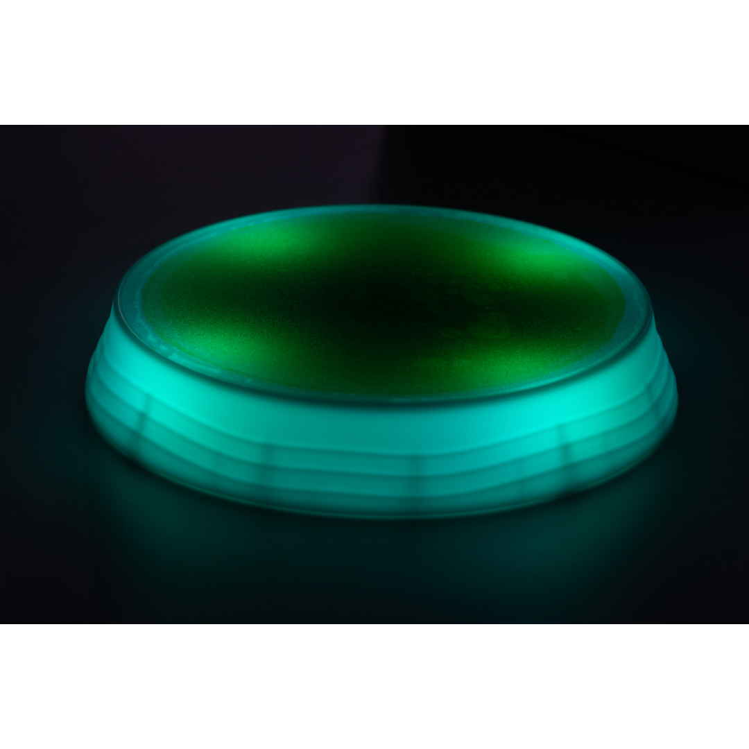 Luminous Stepping Stones 4pk