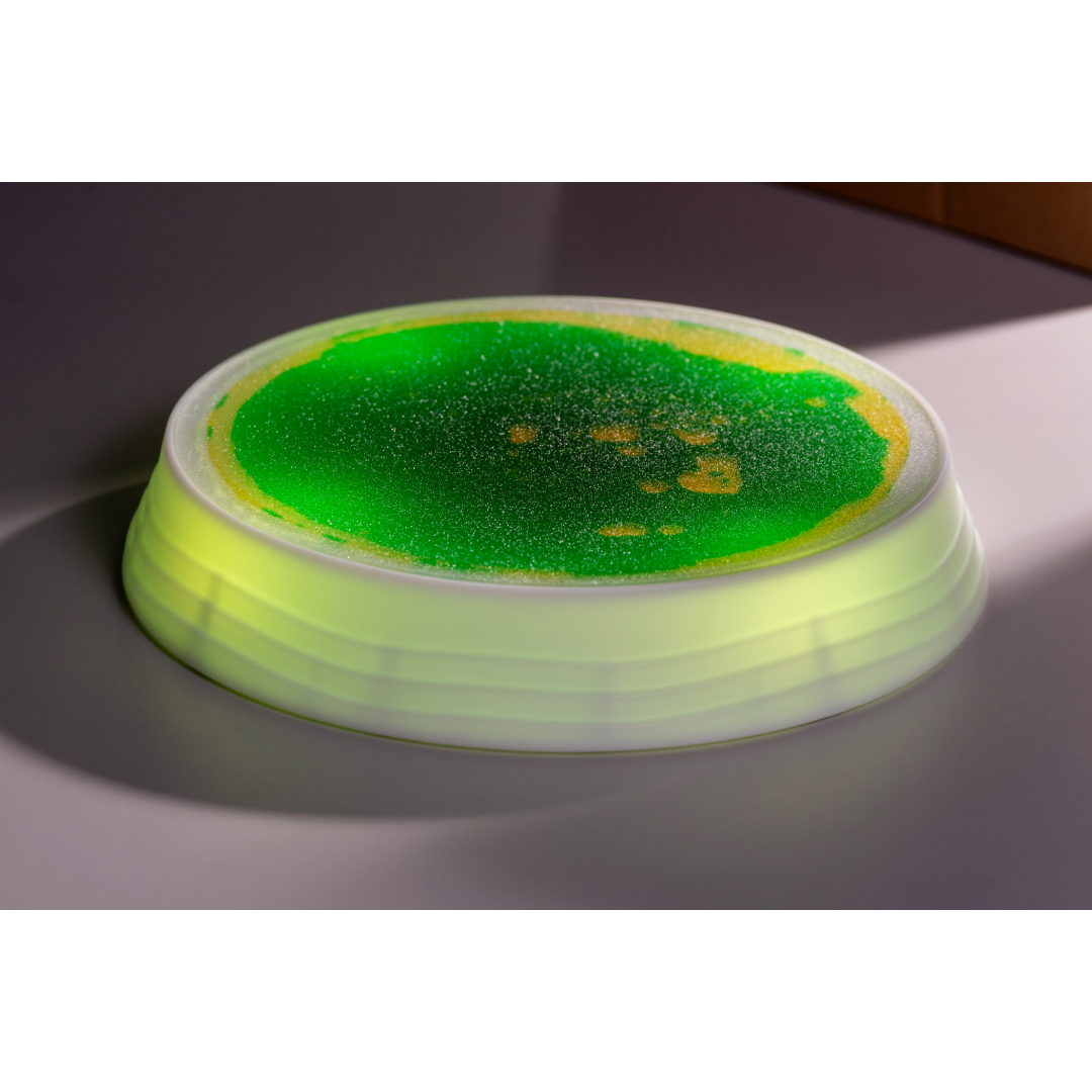 Luminous Stepping Stones 4pk