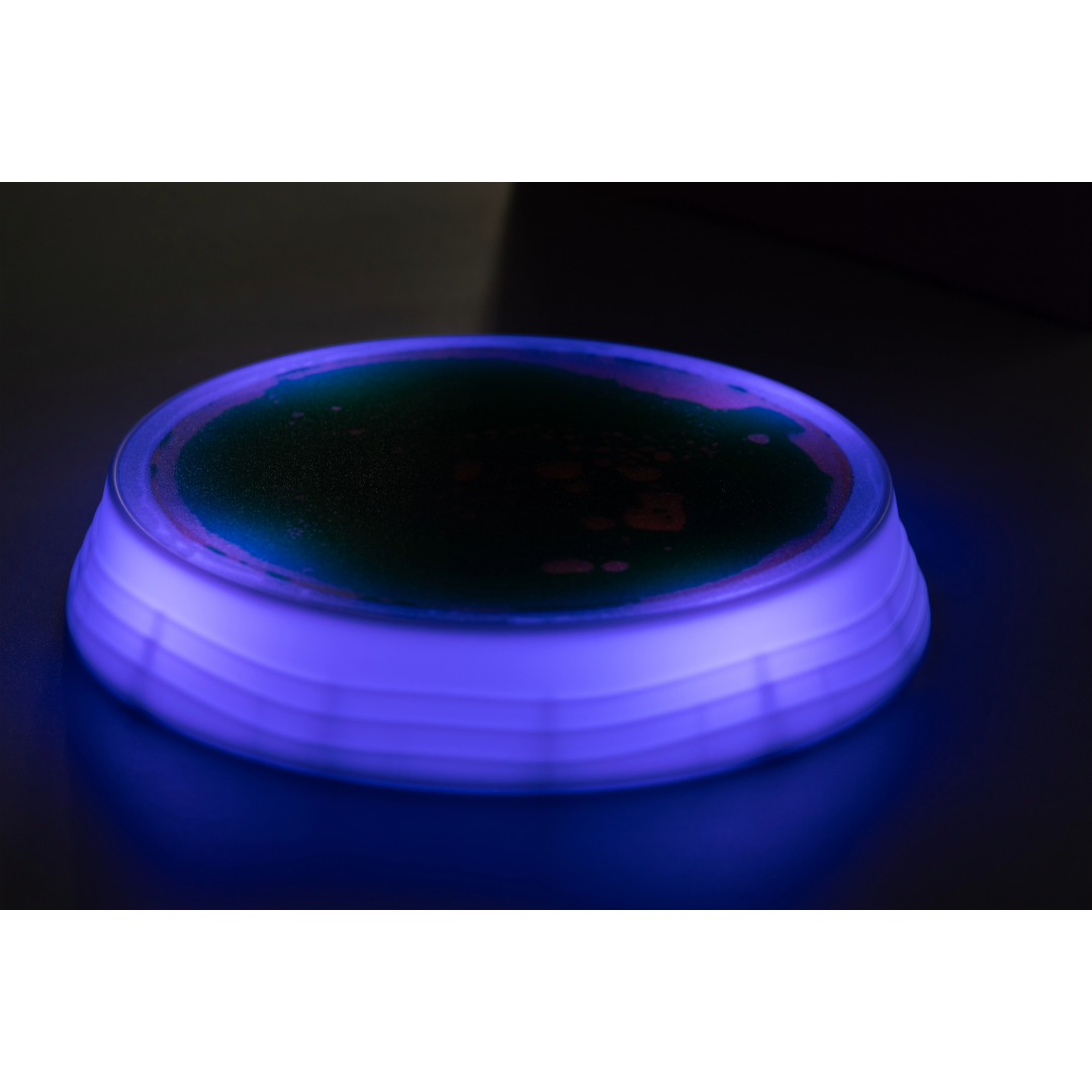 Luminous Stepping Stones 4pk