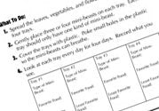 Quick Science Lab Ebook