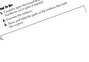 Quick Science Lab Ebook