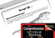 Test Prep Level 5: The Lego« Life Comprehension and Critical