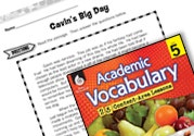 Reading Fiction Ebook