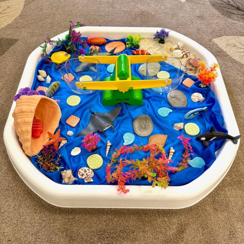 Mini Tuff Tray – Scholar's Choice