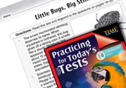 Language Arts Test Preparation Level 4: Little Bugs Big Stin