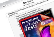 Language Arts Test Preparation Level 2: Ice Town Ebook