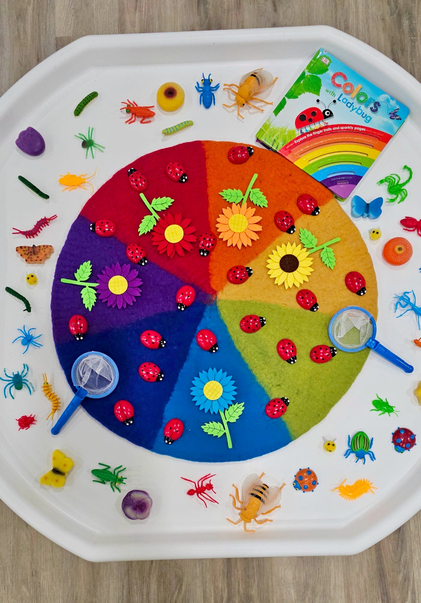 Ladybug Counting Stones