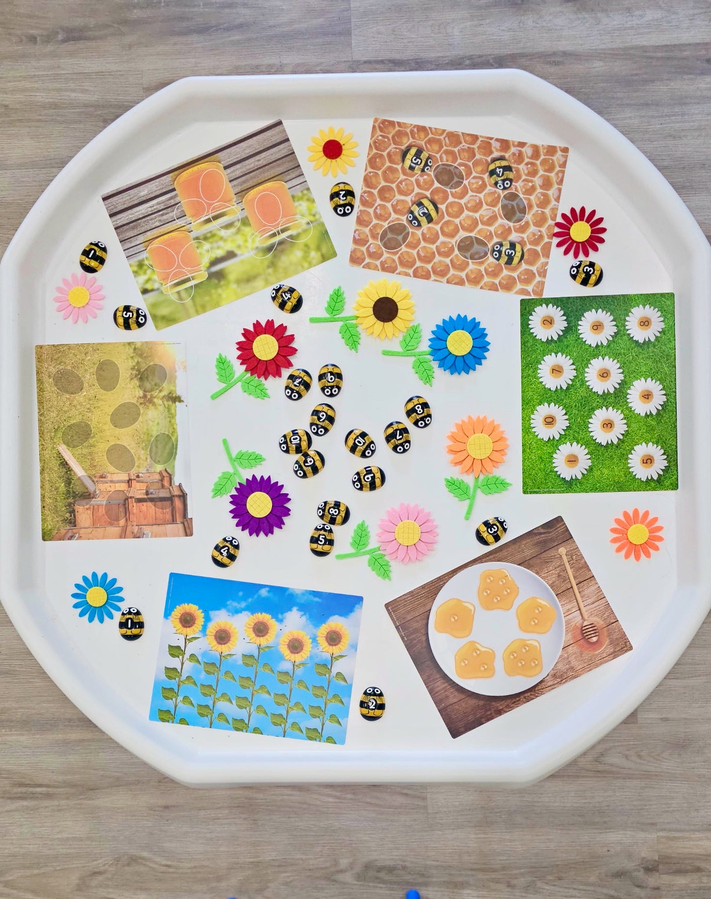 Honey Bee Number Stones