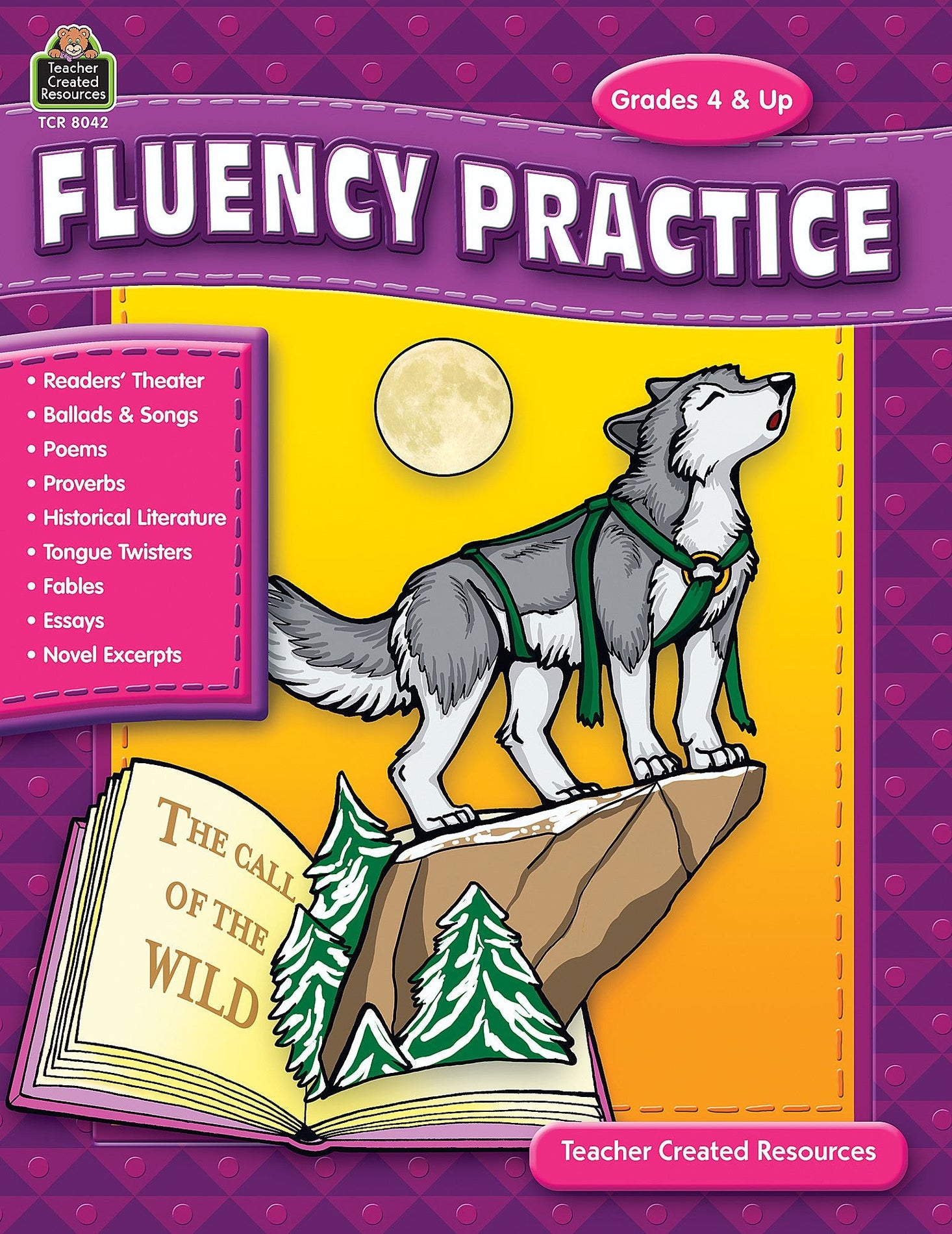 Fluency Practice Grades 4 & Up Ebook