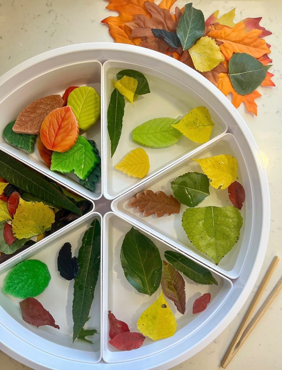 Sensory Play Stones Leaves