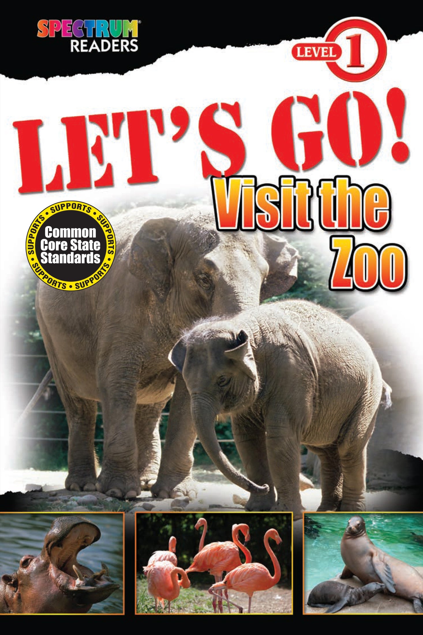 Lets Go! Visit The Zoo Ebook
