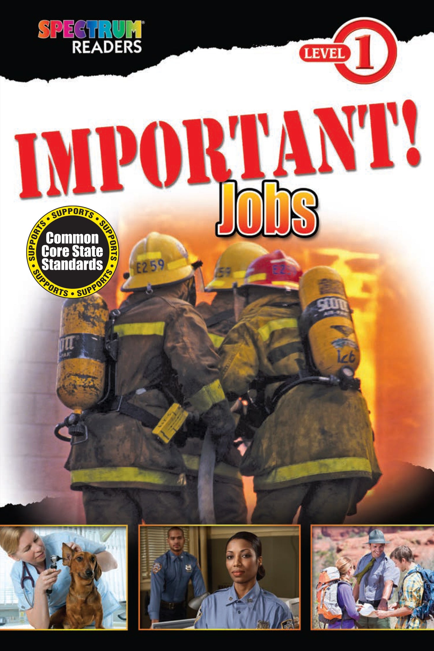 Important! Jobs Ebook