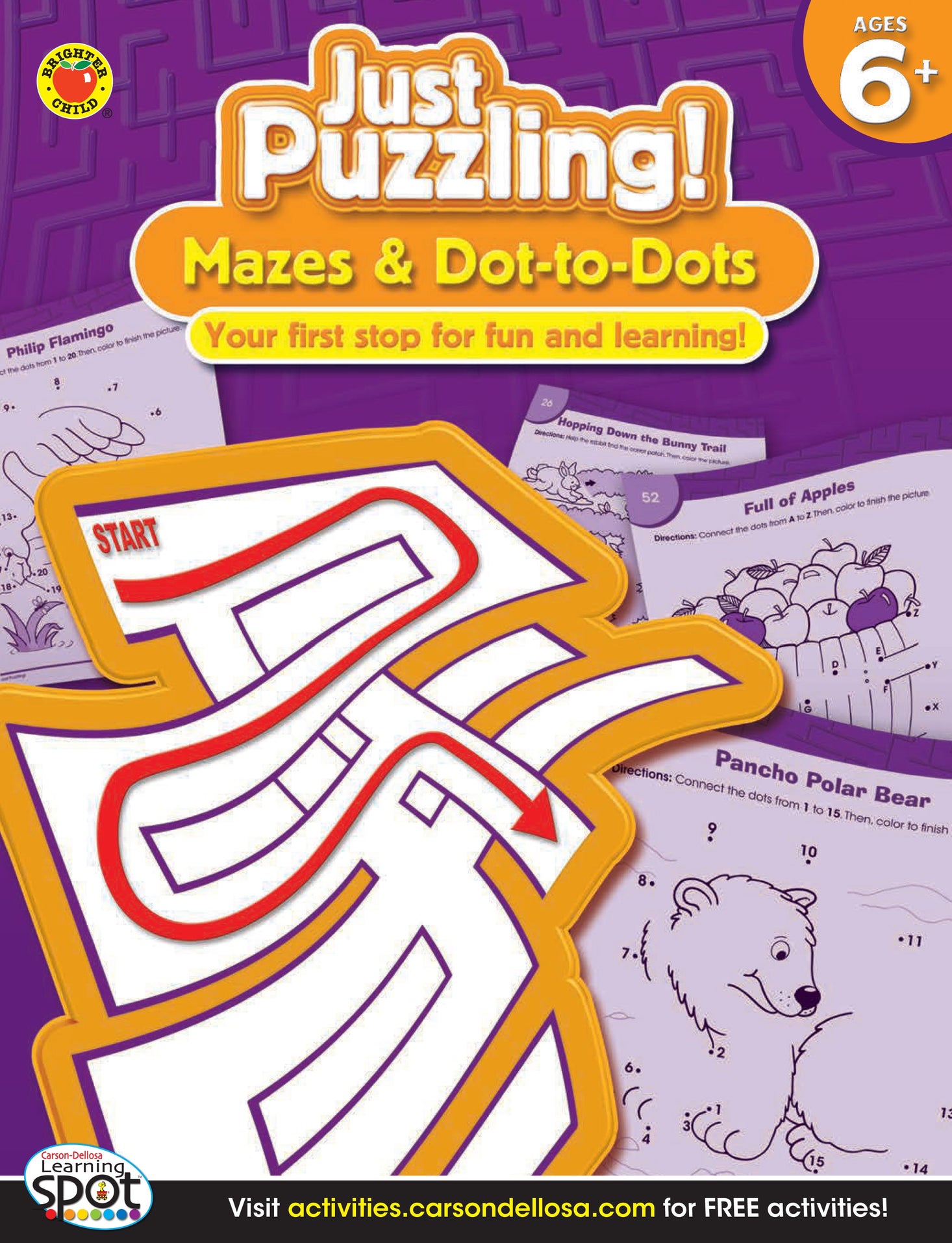Mazes and Dot-to-Dots (Grades 1-3) Ebook