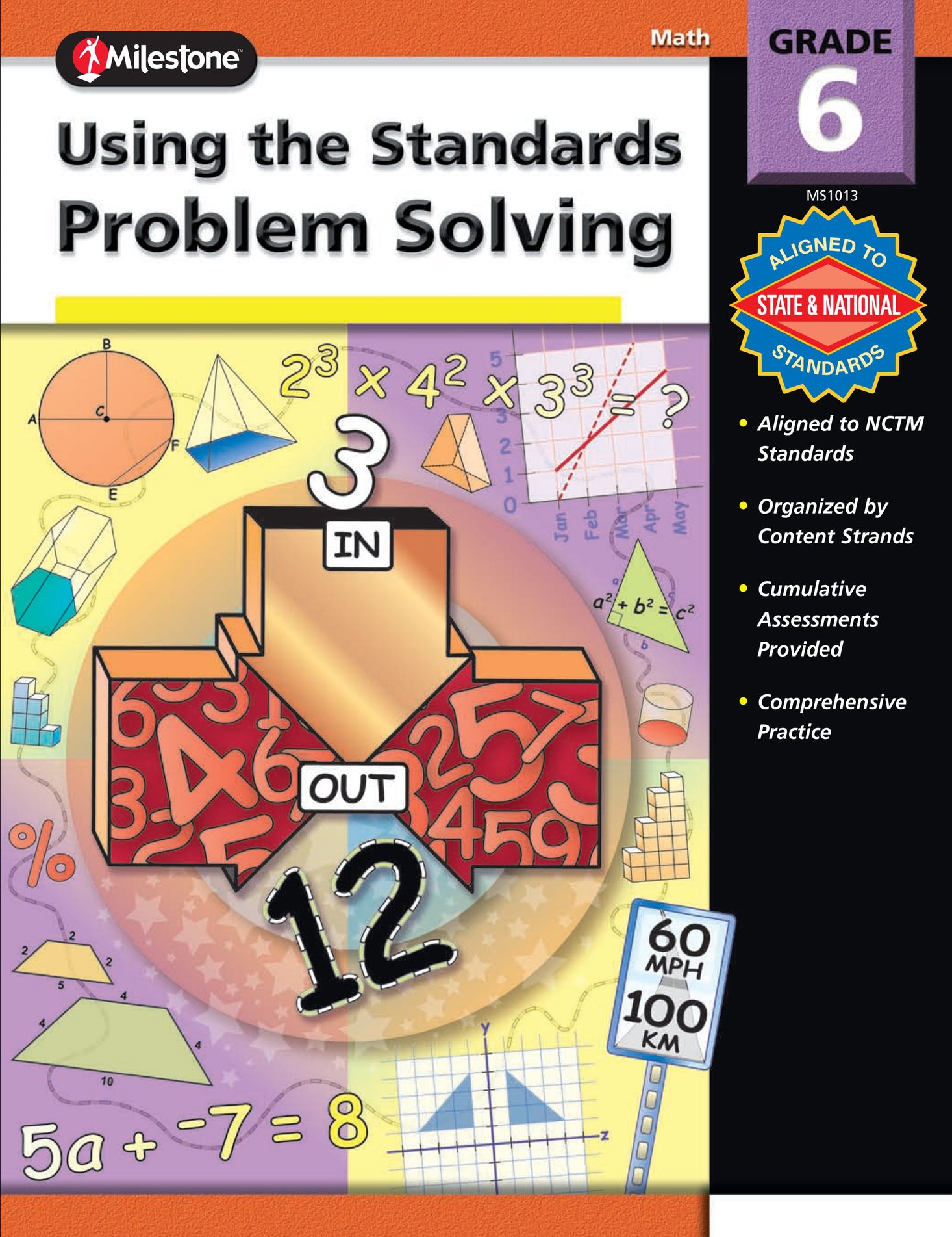 Using the Standards - Problem Solving Ebook