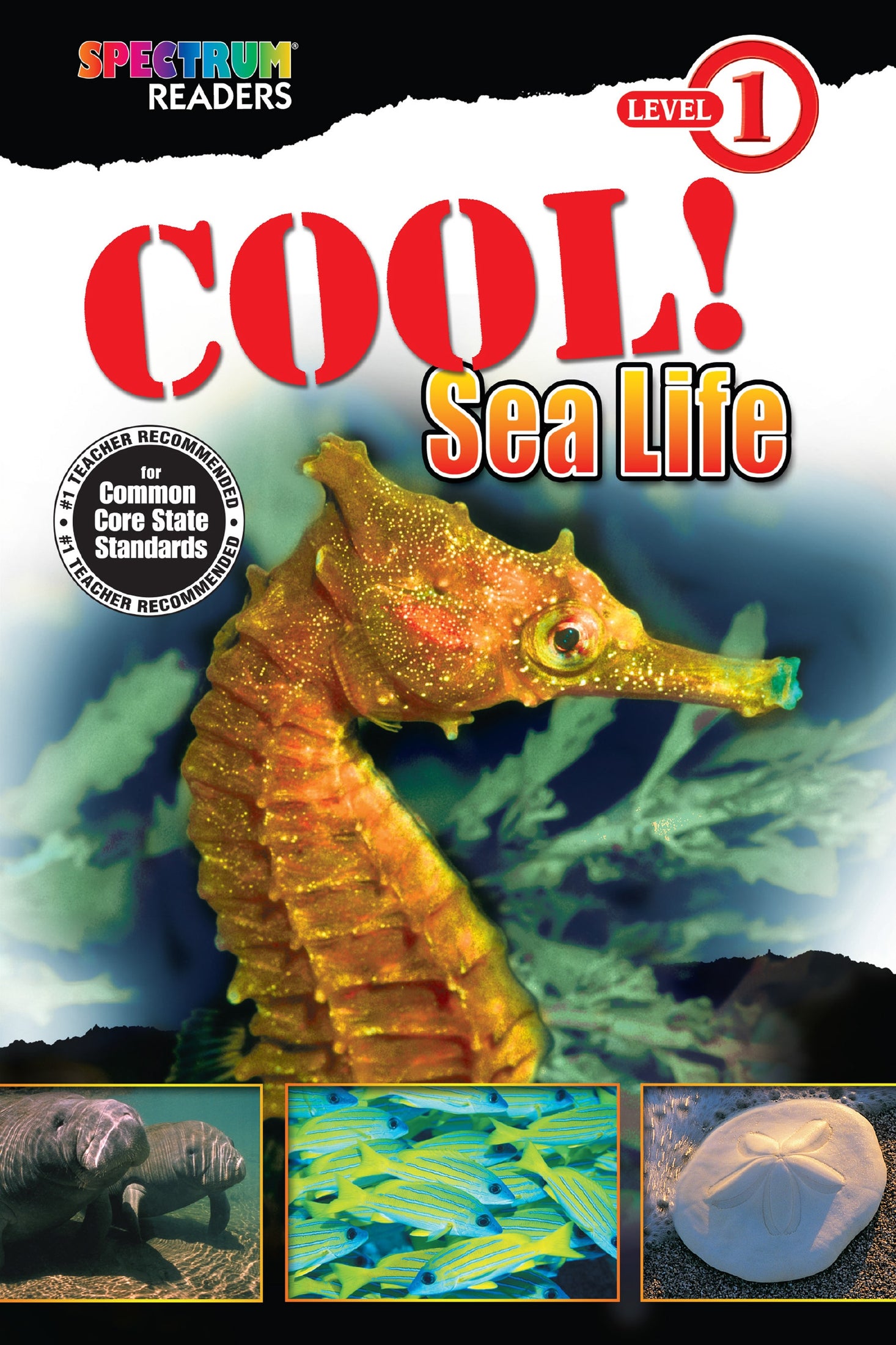 Spectrum Readers Level 1: Cool! Sea Life Ebook