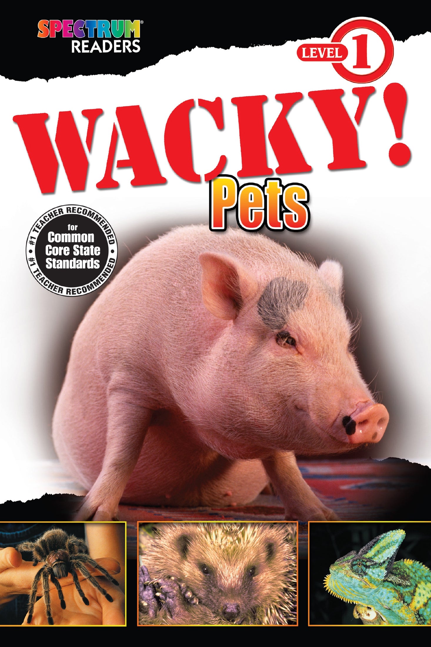 Spectrum Readers Level 1: Wacky! Pets Ebook