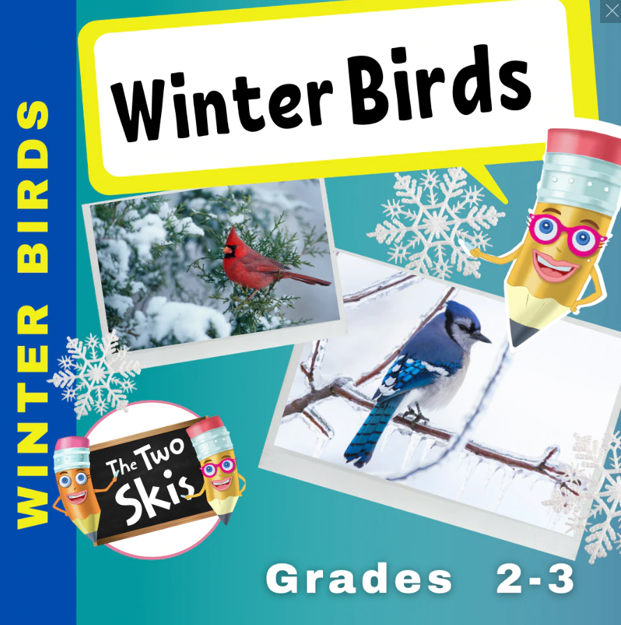 Winter birds Ebook