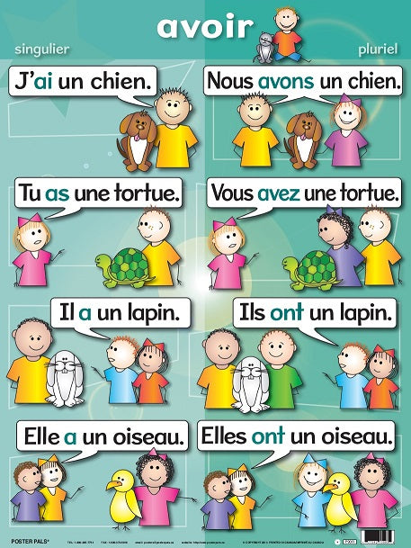 Basic French Verbs 7 pk