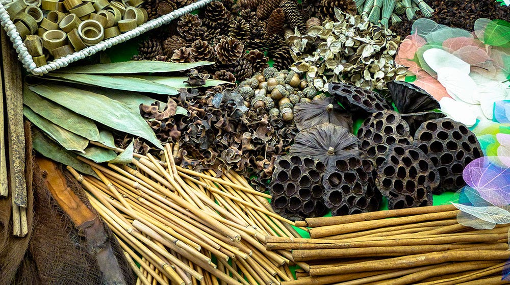 Botanical Treasure Basket