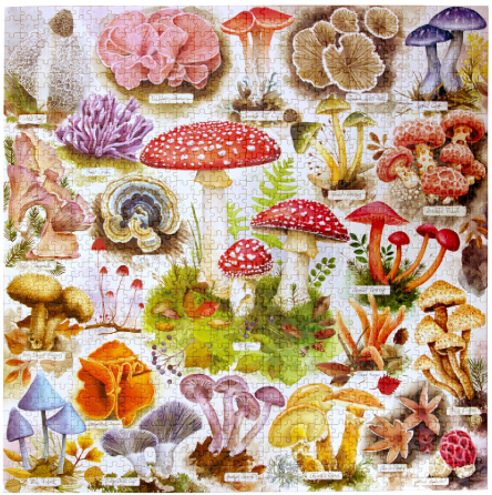 Bountiful Mushrooms 1000 pc Puzzle