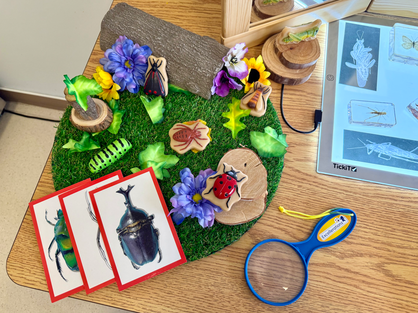 Bug Inquiry Table Collection