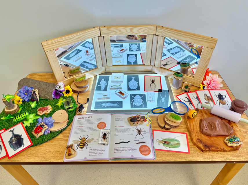 Bug Inquiry Table Collection