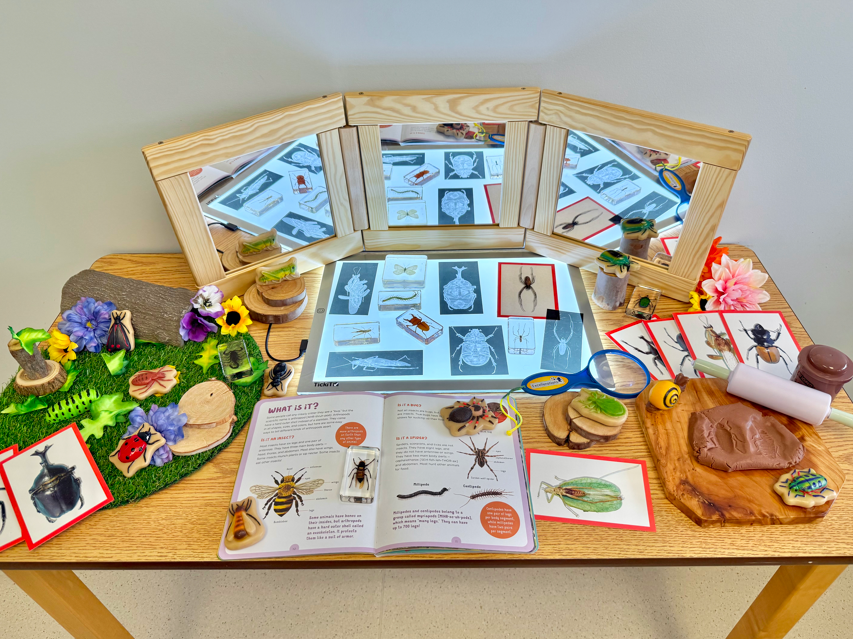 Bug Inquiry Table Collection
