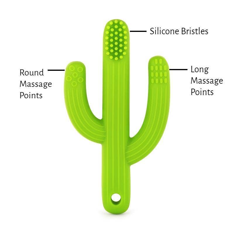 Cactus Toothbrush Teether