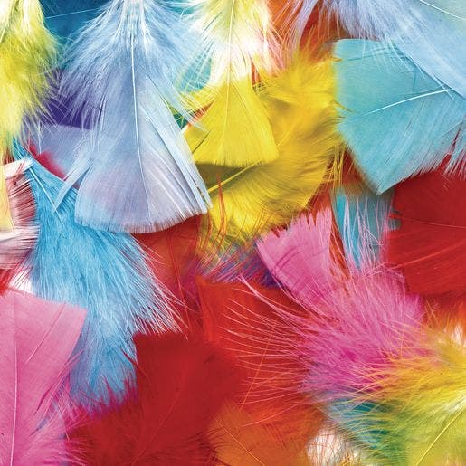 Rainbow Feathers Classroom Pack