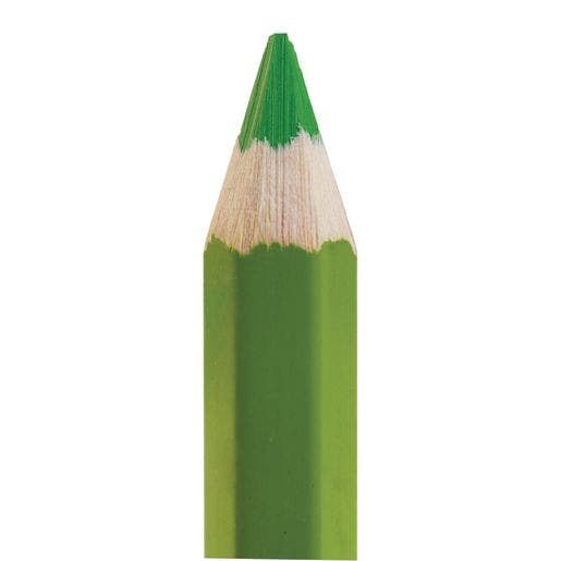 Colorations Stubby Chubby Colored Pencils Set of 48