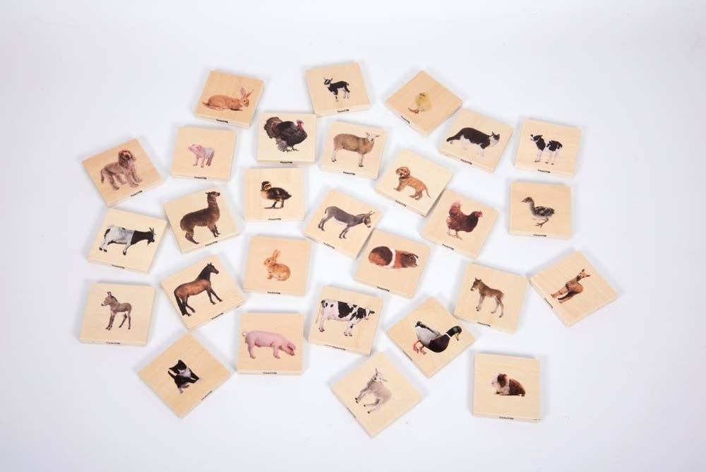 Domestic Animal Family Match
