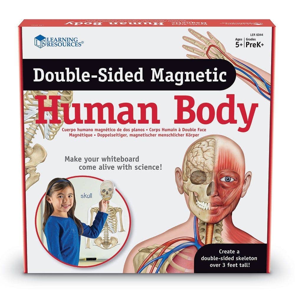 Double Sided Magnetic Human Body
