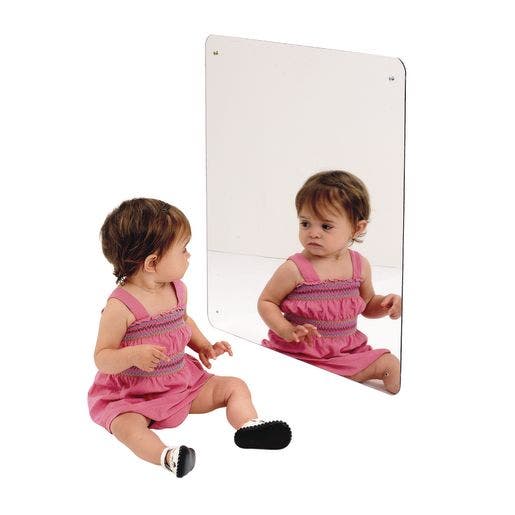 Environments 23 3/8 Safety Mirror