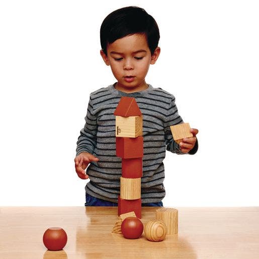 Environments earlySTEM Engineered to Build Toddler Blocks
