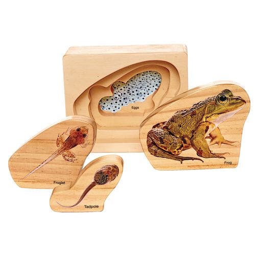 Environments earlySTEM Life Cycles Nesting Puzzles Set of 3