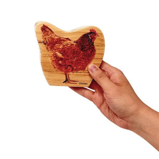 Environments earlySTEM Life Cycles Nesting Puzzles Set of 3