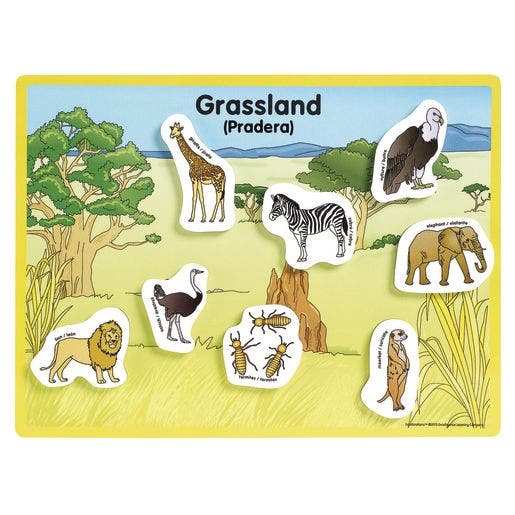 Excellerations Animals in their Habitats