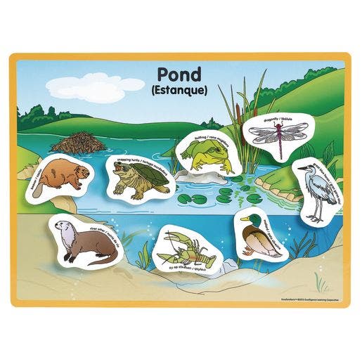 Excellerations Animals in their Habitats