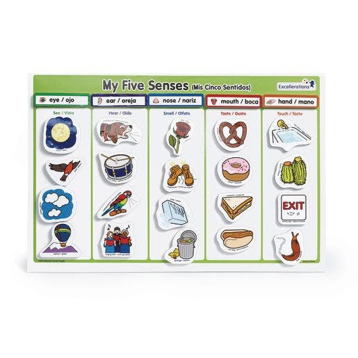 Excellerations My 5 Senses Magnet Activity Set