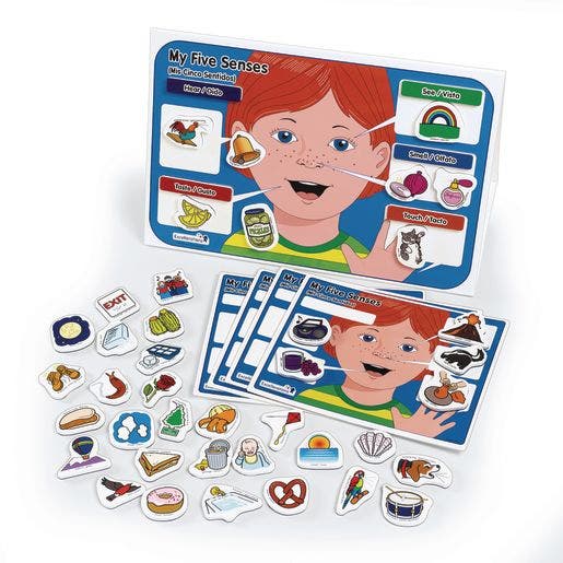 Excellerations My 5 Senses Magnet Activity Set
