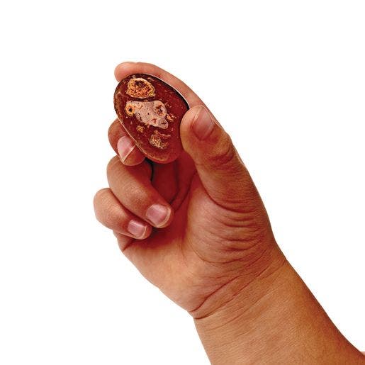 Excellerations Polished Pebbles 2 lbs