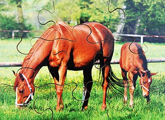 Farm Animals and Their Young Set of 8 Wooden Puzzles