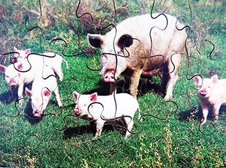 Farm Animals and Their Young Set of 8 Wooden Puzzles