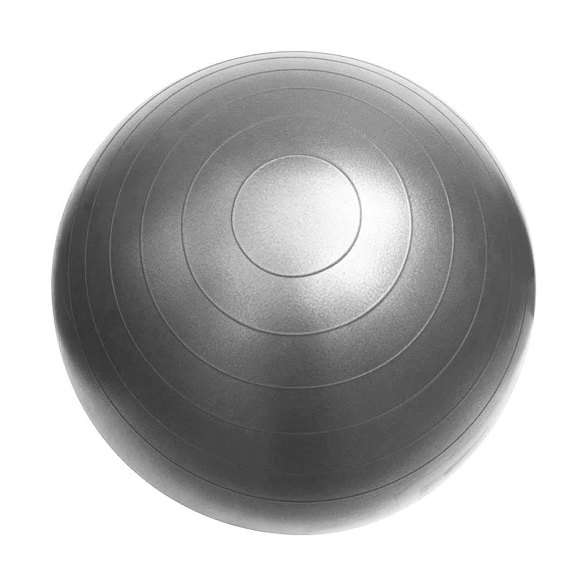 Fit Ball Chair with Back Support 55cm ball