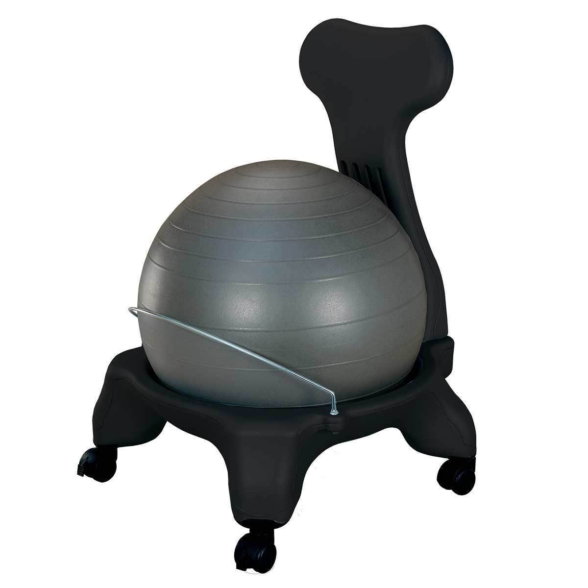 Fit Ball Chair with Back Support 55cm ball